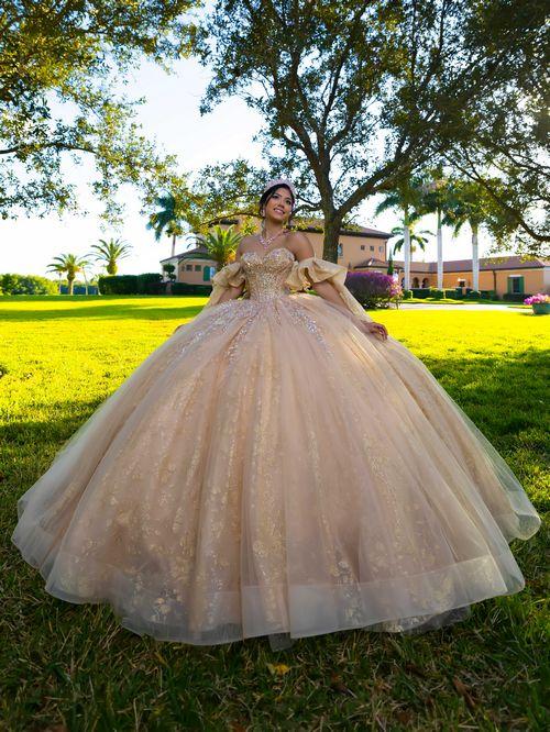 Fiesta Gowns Style 56566