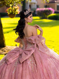 Fiesta Gowns Style 56566