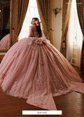 Rachel Allan Style RQ1190