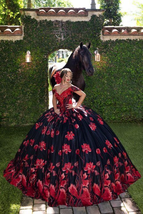 Quinceañera & Sweet 16